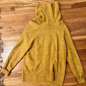 Oversized Turtleneck from Aritzia